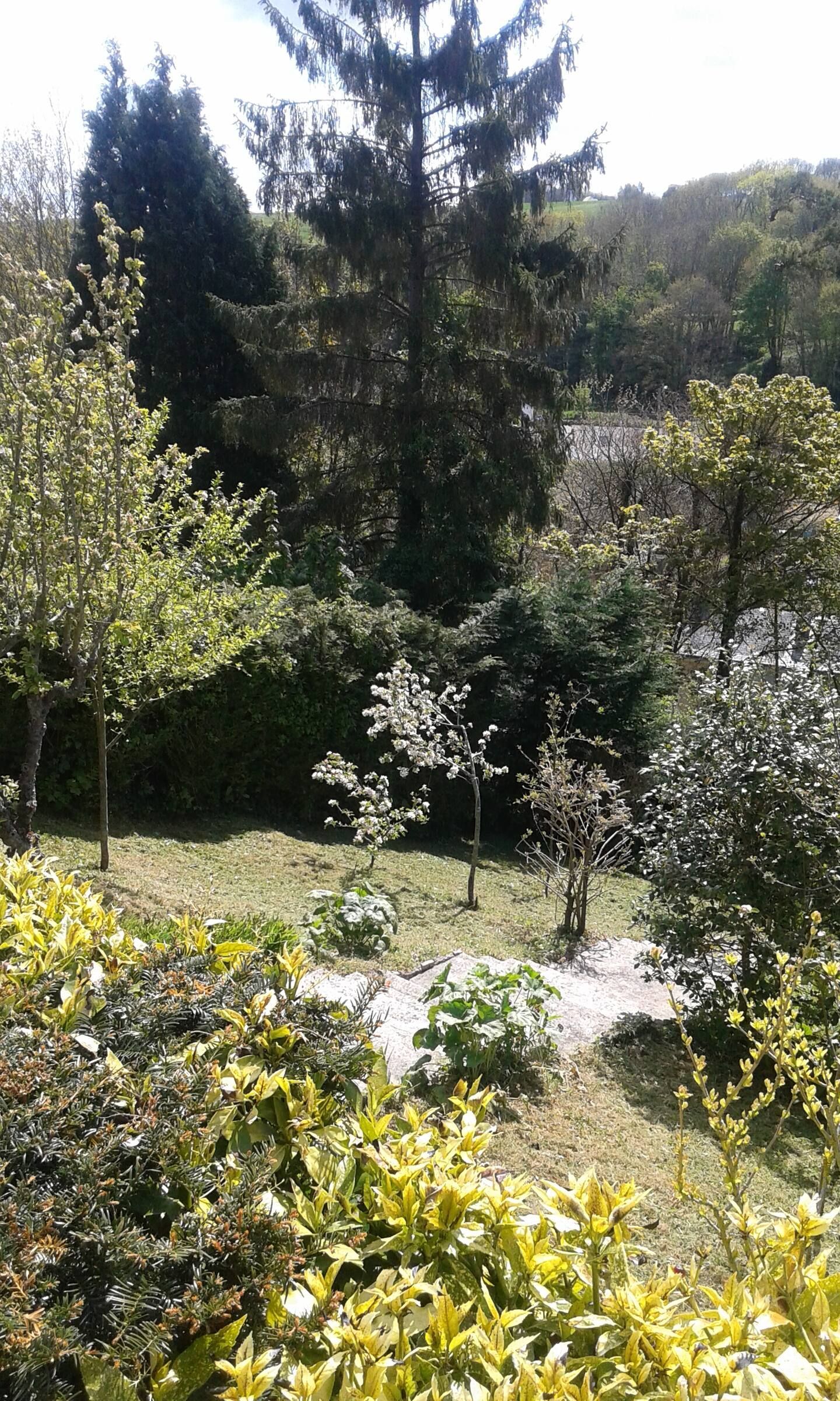 Jardin