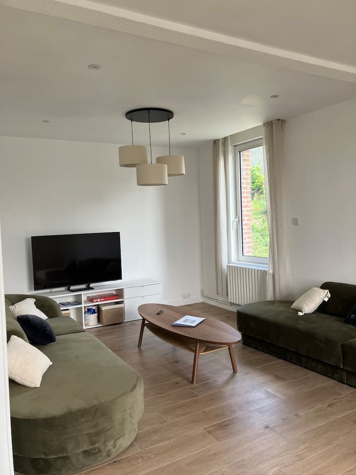 Salon moderne avec deux canapés verts, télévision, table basse et grande fenêtre.
