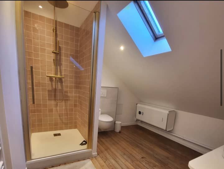 Petite salle de bains avec douche en verre, toilettes, puits de lumière, parquet et radiateur blanc sous un plafond mansardé.