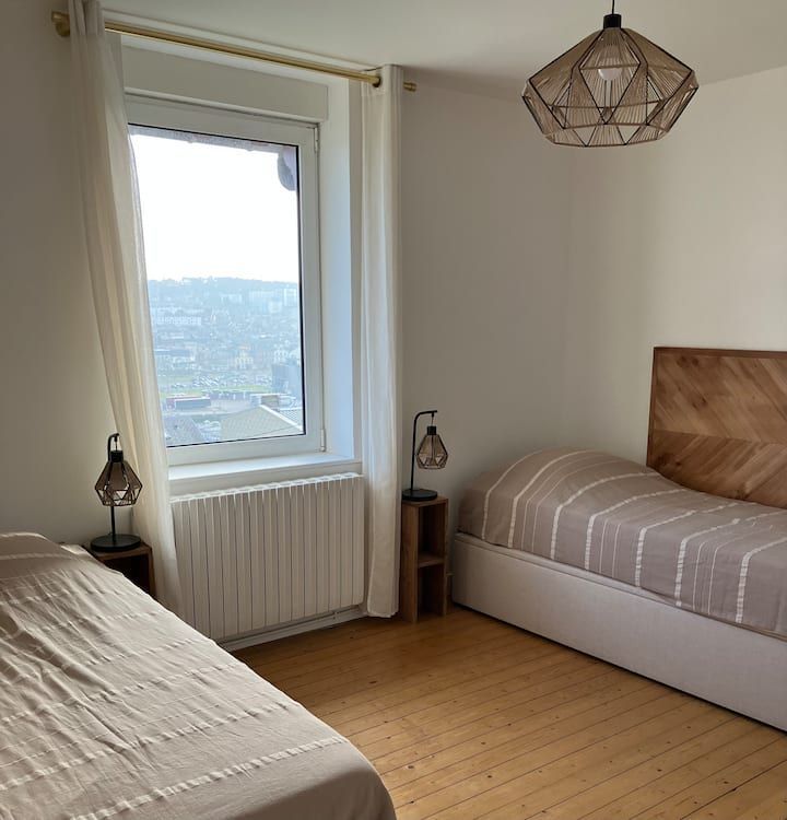 Chambre lumineuse avec deux lits, vue depuis la fenêtre, radiateur et parquet.