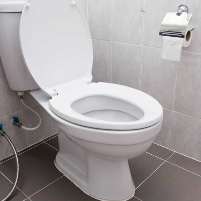 Clogged toilets