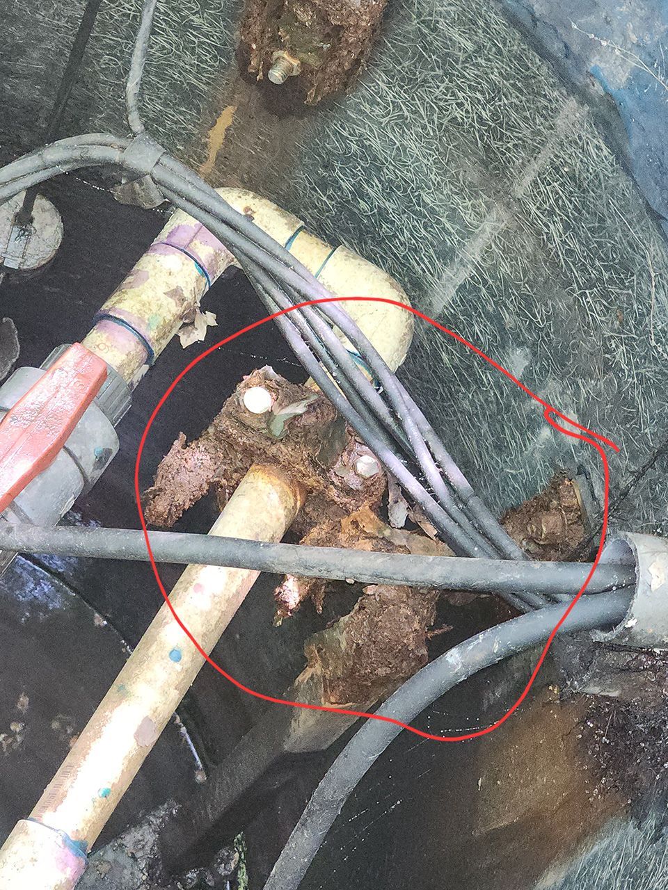 plumbing services 24