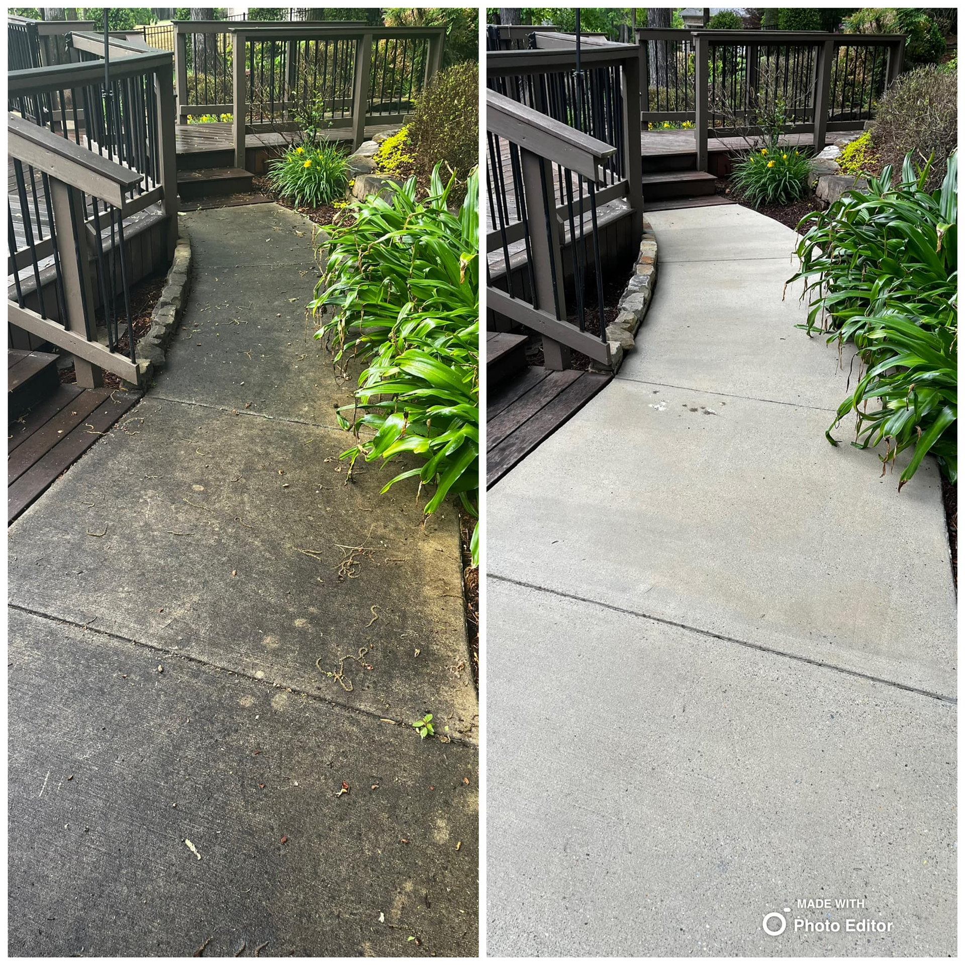 Before-and-after comparison: Dirty and clean concrete walkway alongside a wooden deck, lush greenery.