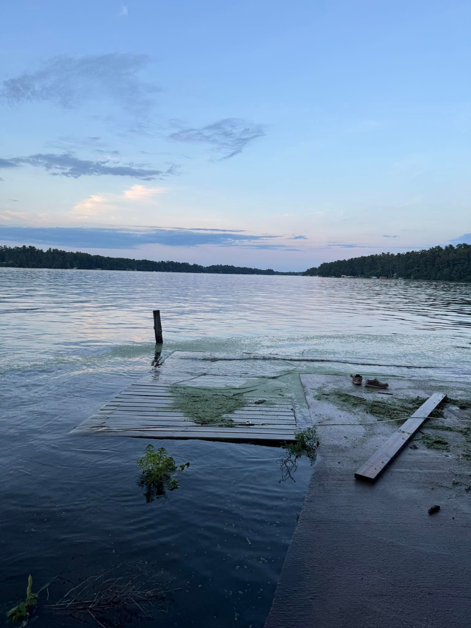 Calm lake at dusk with floating debris and a distant tree-lined shore under a blue sky