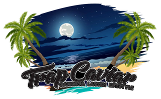 A picture of a beach with palm trees and a full moon.