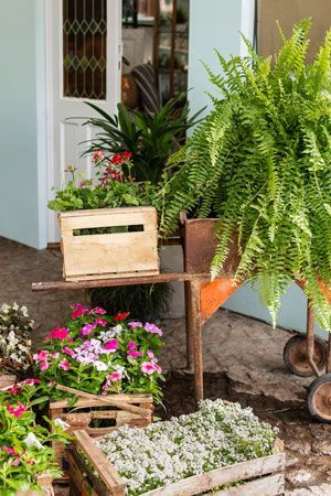 Wooden crates Wooden crates overflowing with colorful flowers and ferns near a door.