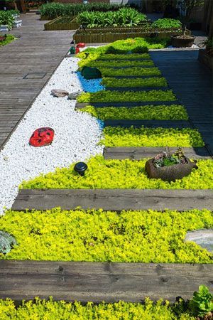 Wooden walkway Wooden walkway with lush green groundcover, white pebbles, and garden beds.