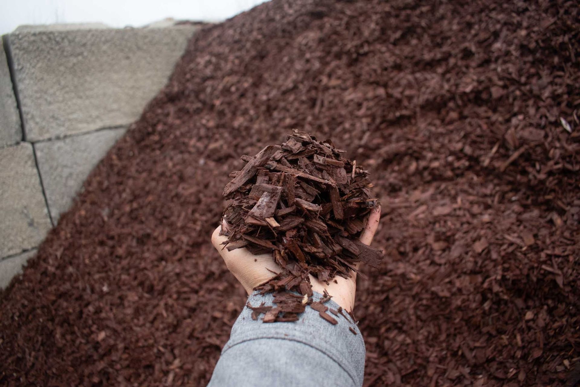 Person holding a handful of dark brown mulch with a pile of mulch and concrete blocks in the background.