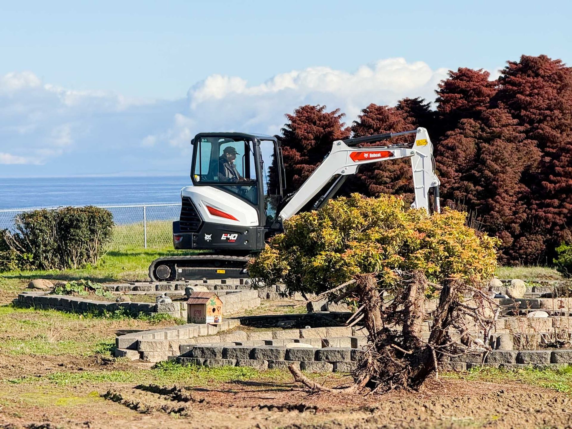 A Bobcat excavator digs in a yard with ocean view and bushes.