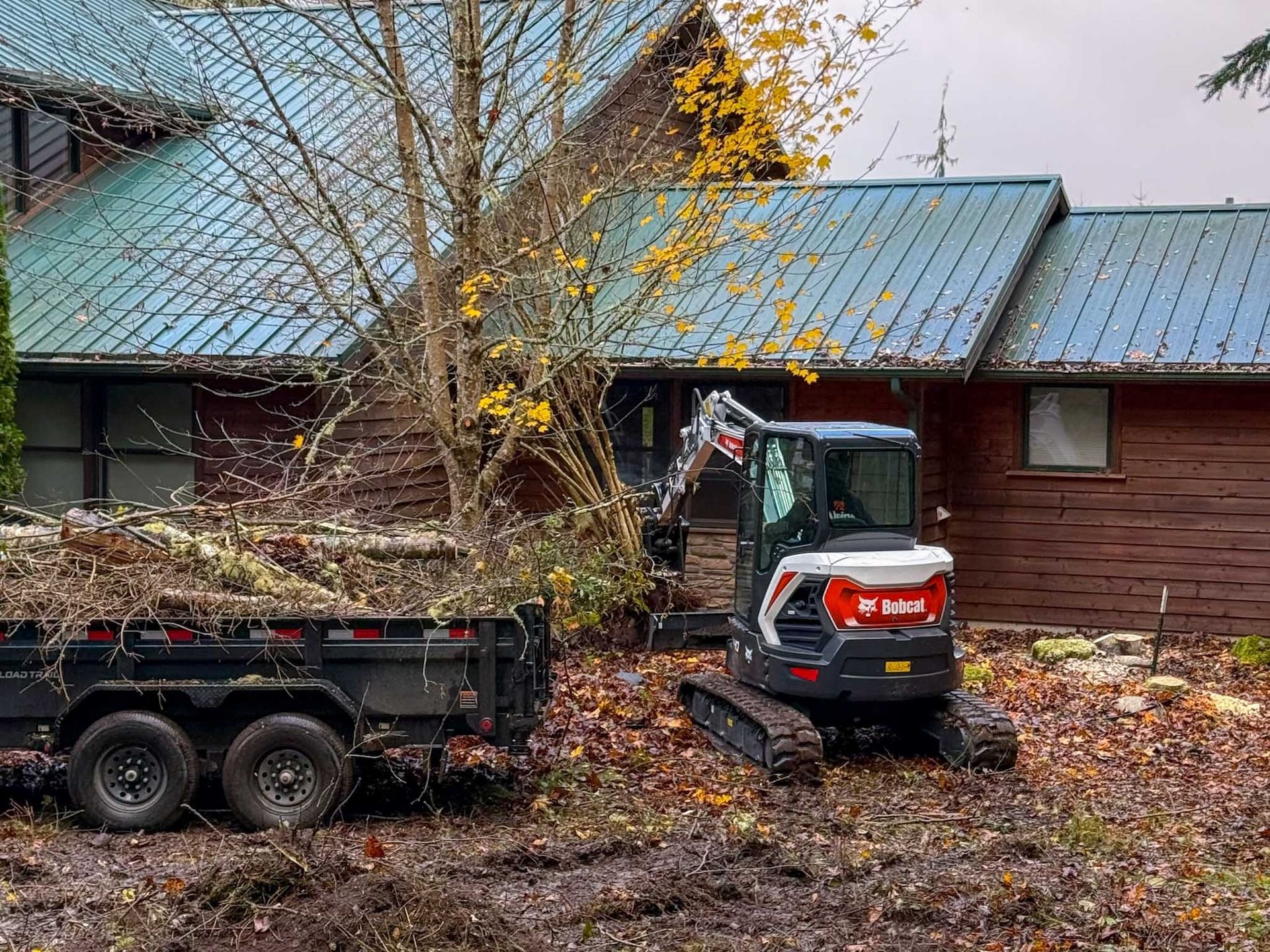 Mini excavator and trailer near a brown cabin clearing brush.