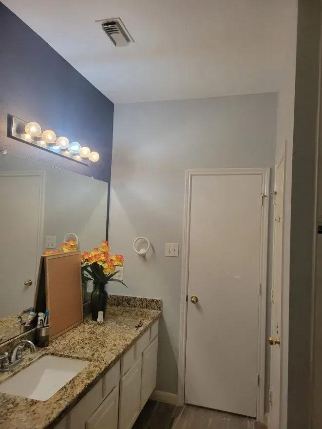 Bathroom vanity with granite countertop, lit mirror, sink, flowers, and a closed white door