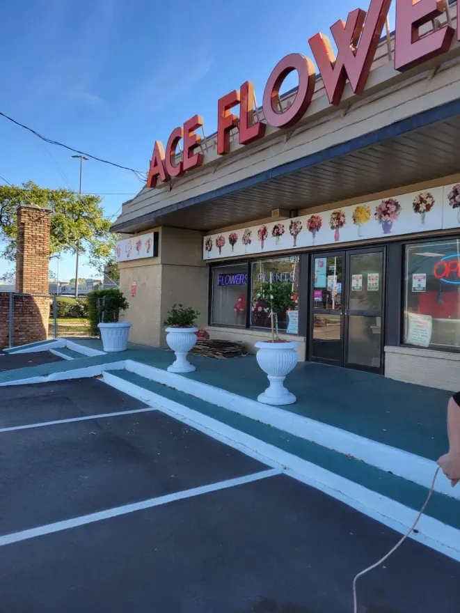 Flower shop storefront with pink sign, white planters, and empty parking spaces under a blue sky