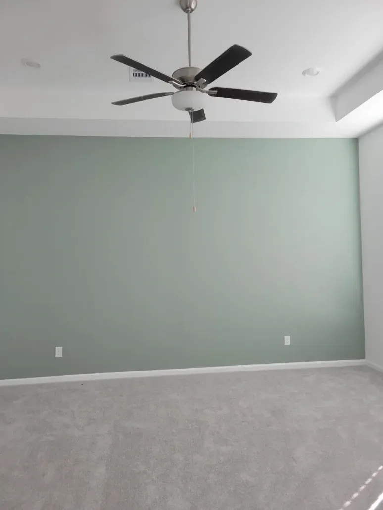 Empty room with light green wall, gray carpet, and a black ceiling fan.