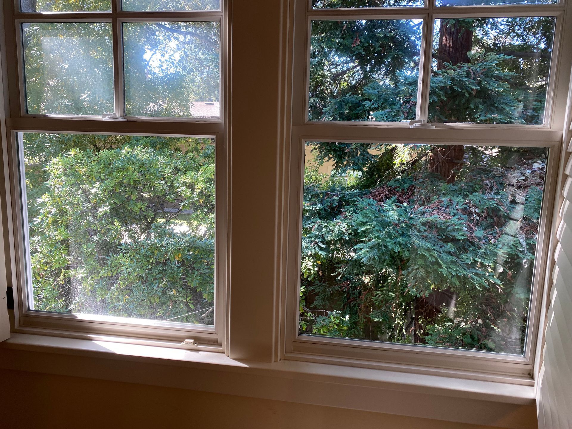 A clean window next to a dirty window with a view of trees outside.