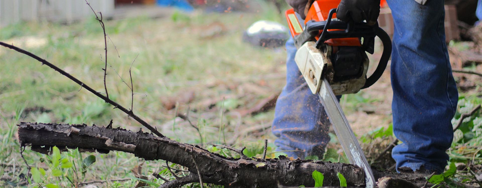 someone chopping up a tree