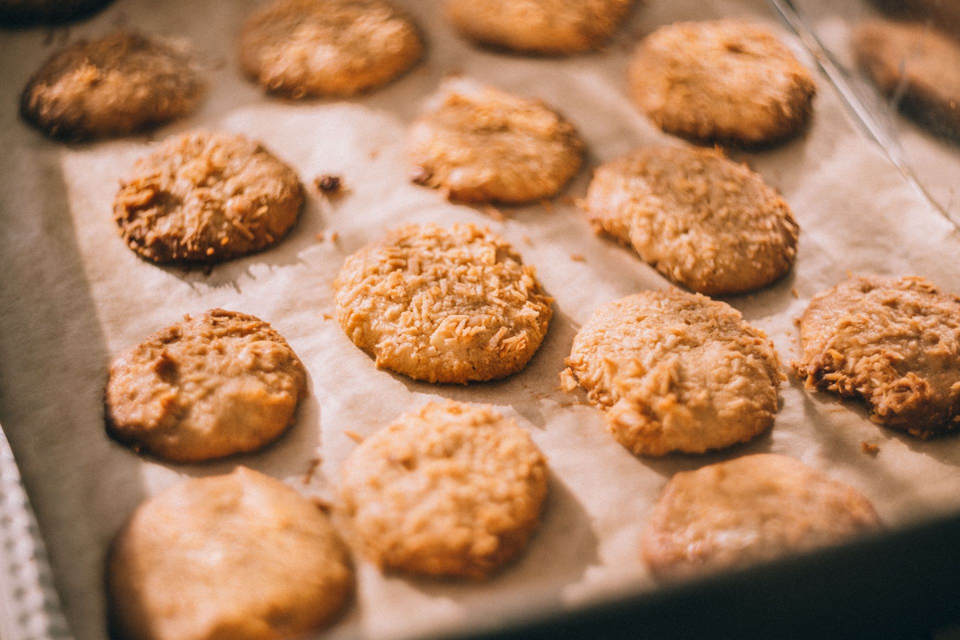 Fresh oatmeal cookies baking on parchment paper in a tray