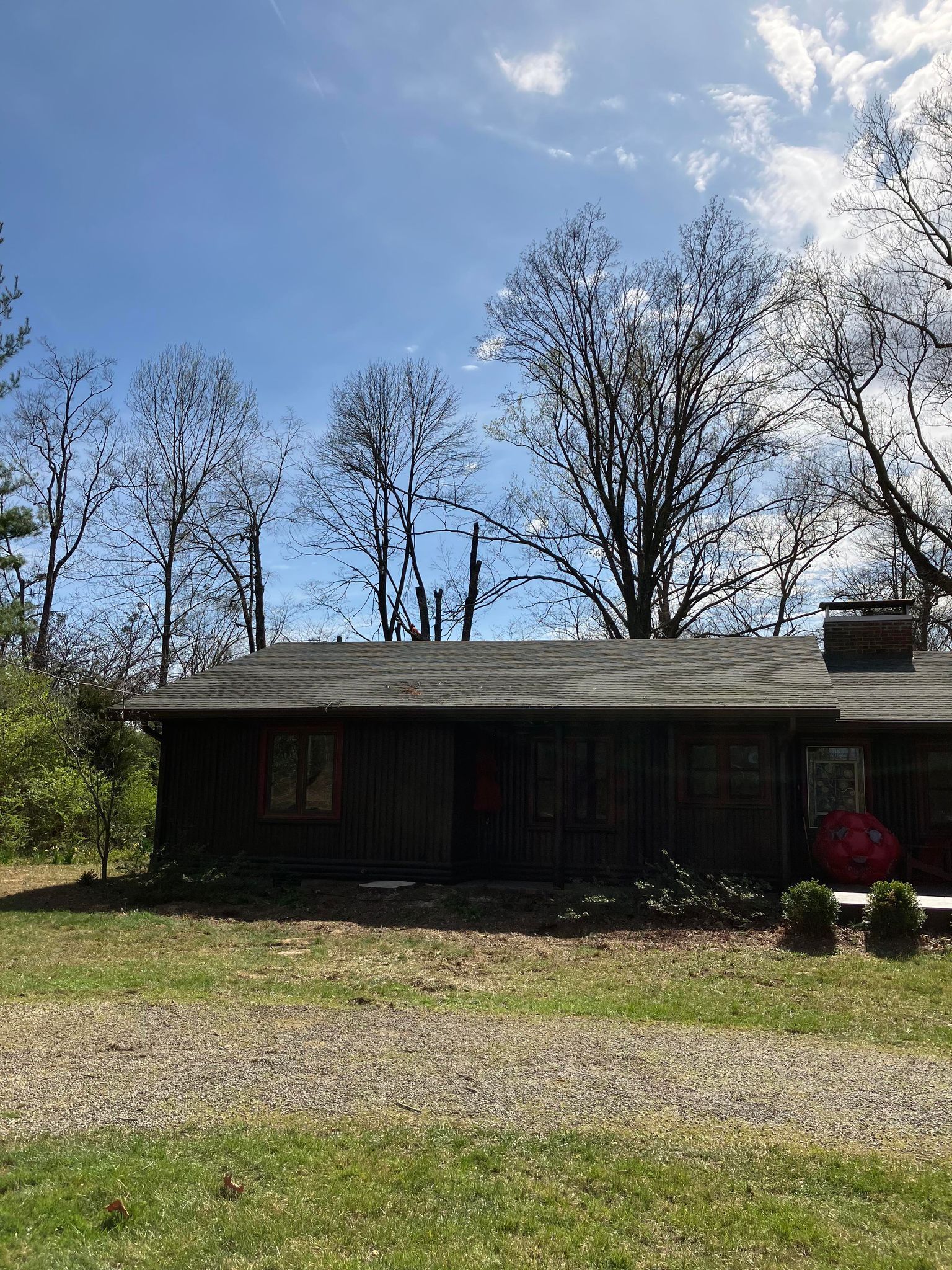 A house is surrounded by trees on a sunny day