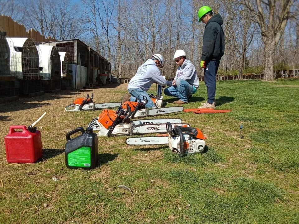 Two men are working on a chainsaw in a grassy field