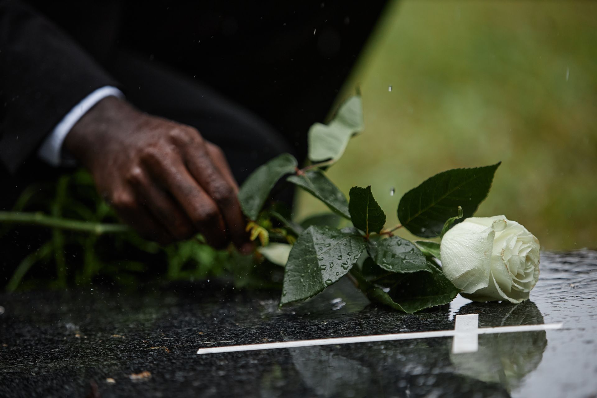 Hand placing a white rose on a wet memorial stone in the rain