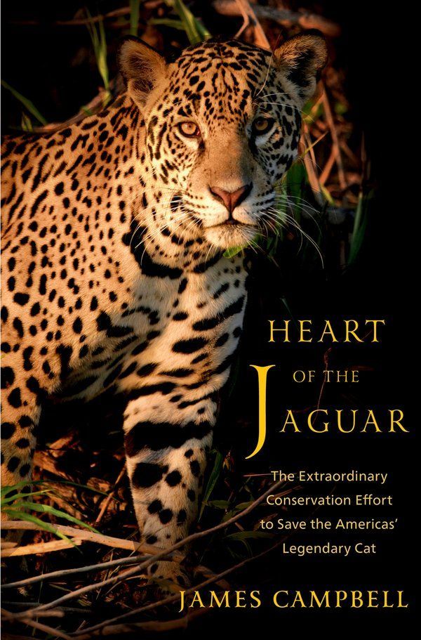 Jaguar on dark foliage with title text “Heart of the Jaguar” and author James Campbell