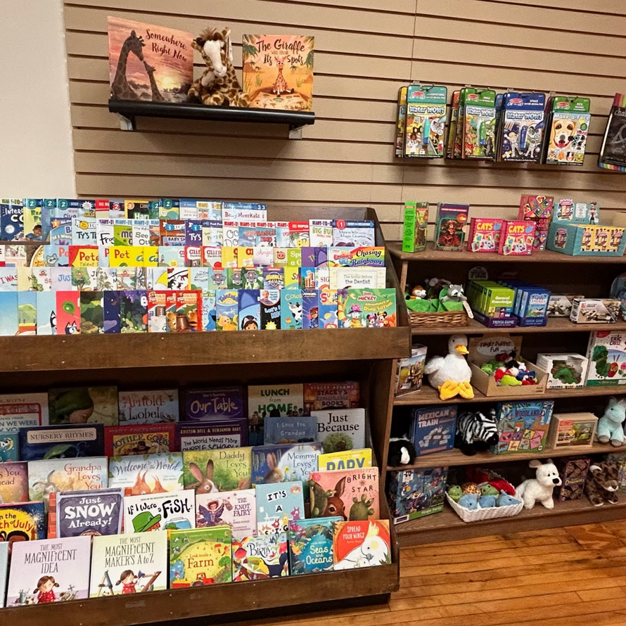 Children’s bookstore display with colorful books and toys on wooden shelves