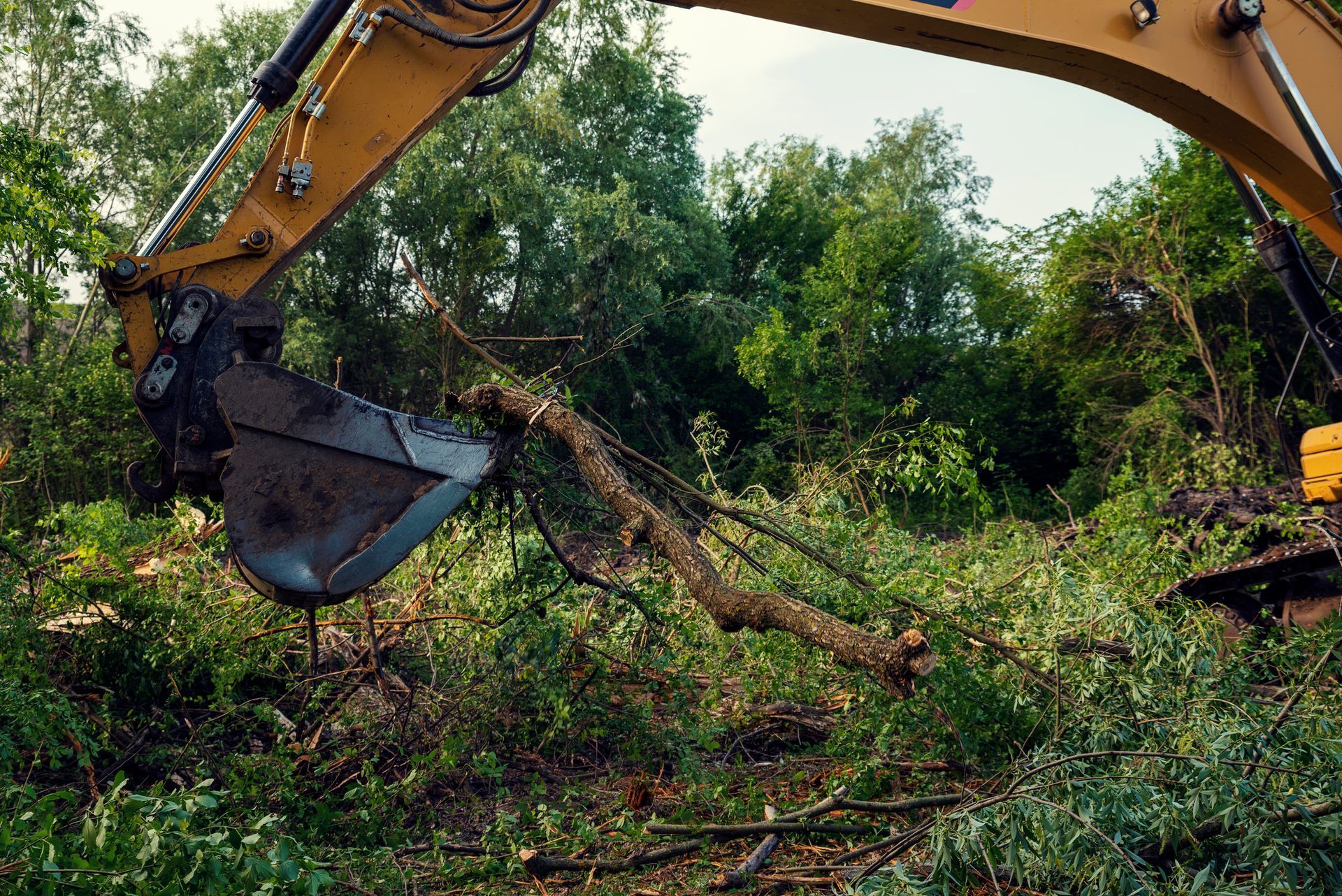 A large excavator is digging a hole in a forest.