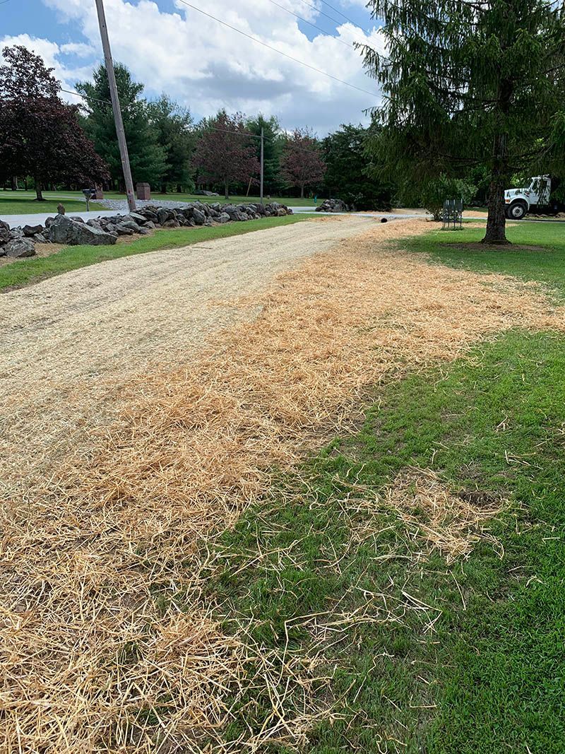 A dirt road with a lot of grass on the side of it.