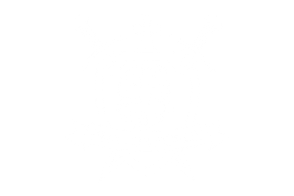 Drakon Forge logo