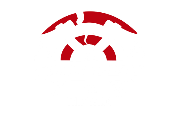 Flying Fury logo