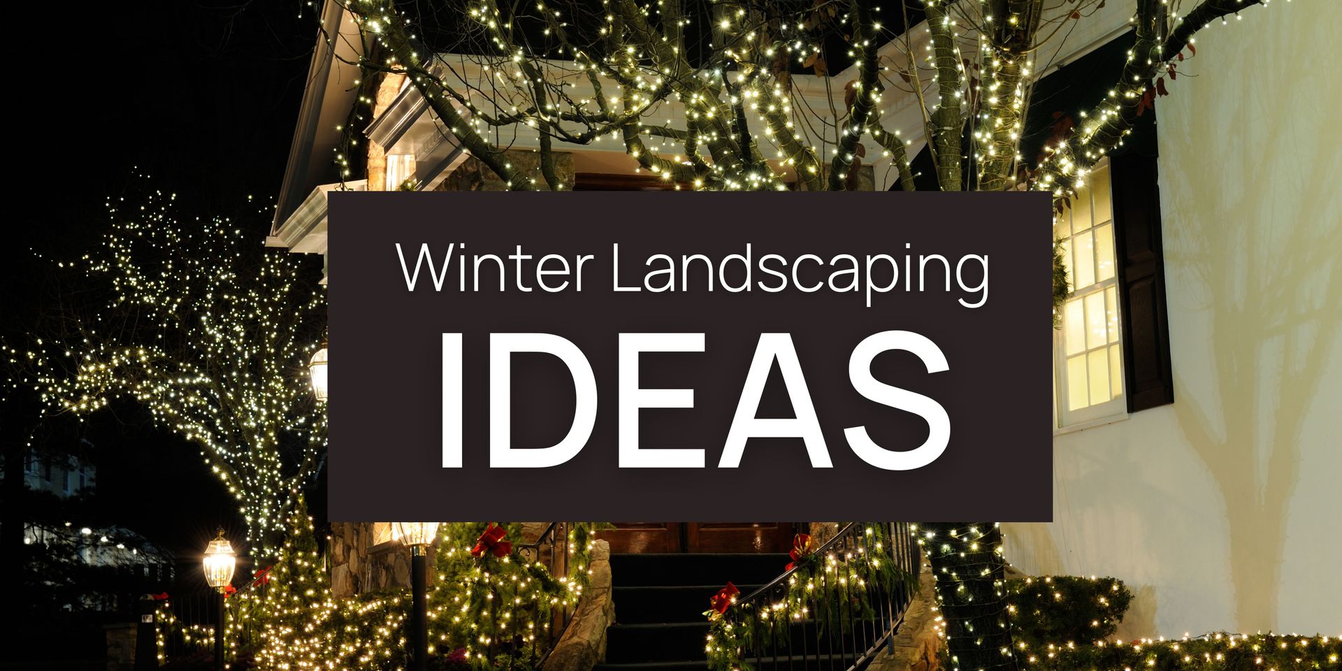 Winter Landscaping Ideas for Curb Appeal: Making Your Home Shine Year-Round