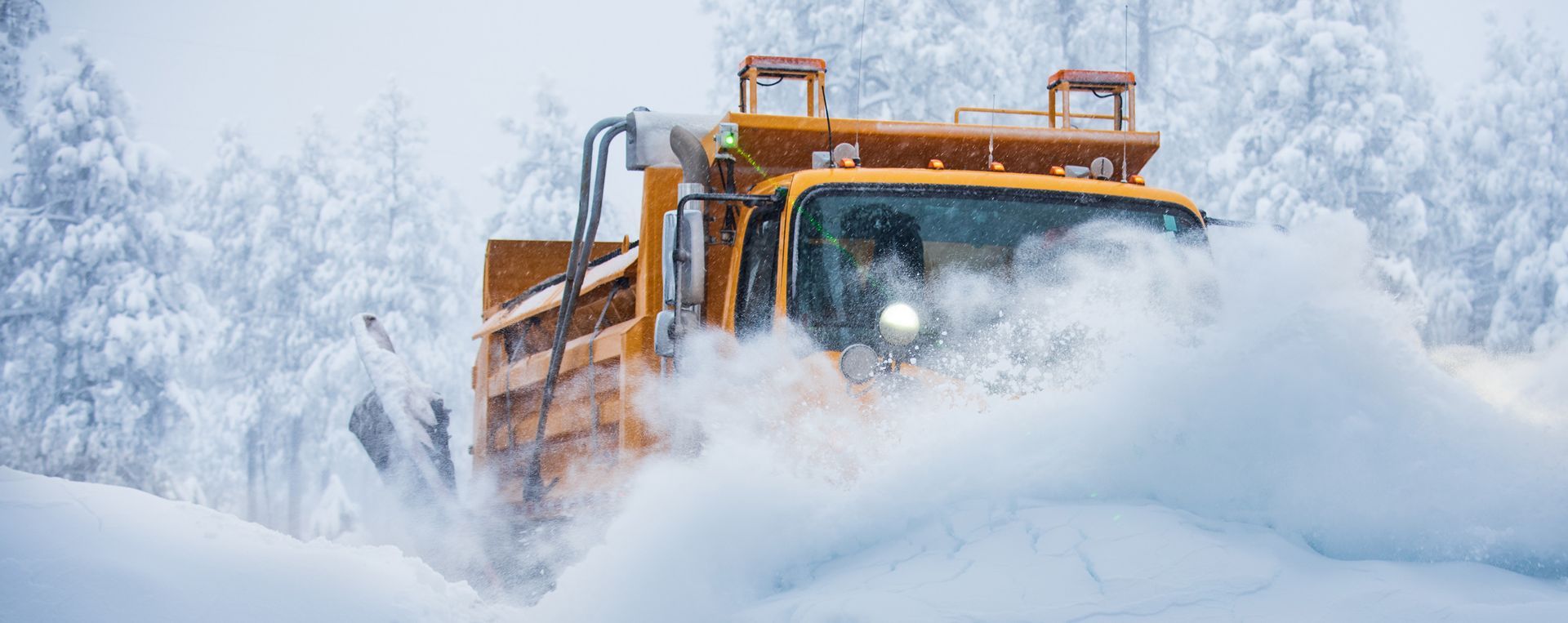 Snow Plow