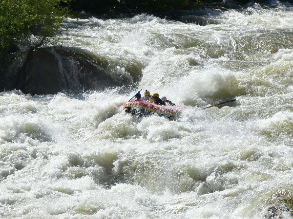 rafting through the kern and trees in the background
