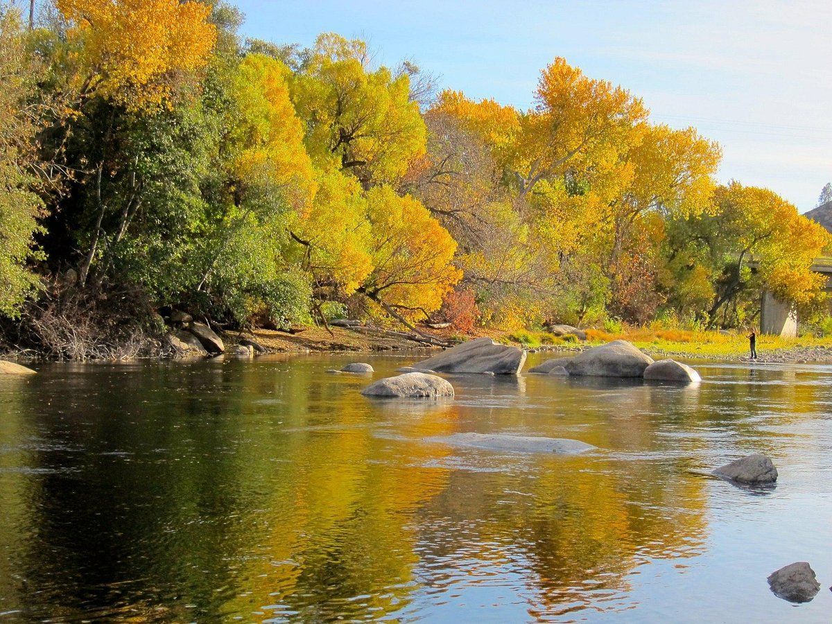 fall trees near the kern river