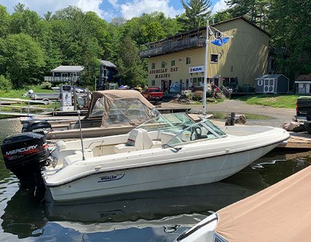 Georgian Bay Boat Rentals