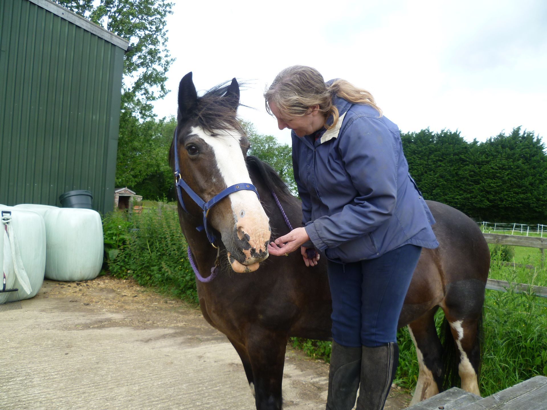 Lorraine and Dolly at the mounting block. A momnt of connection