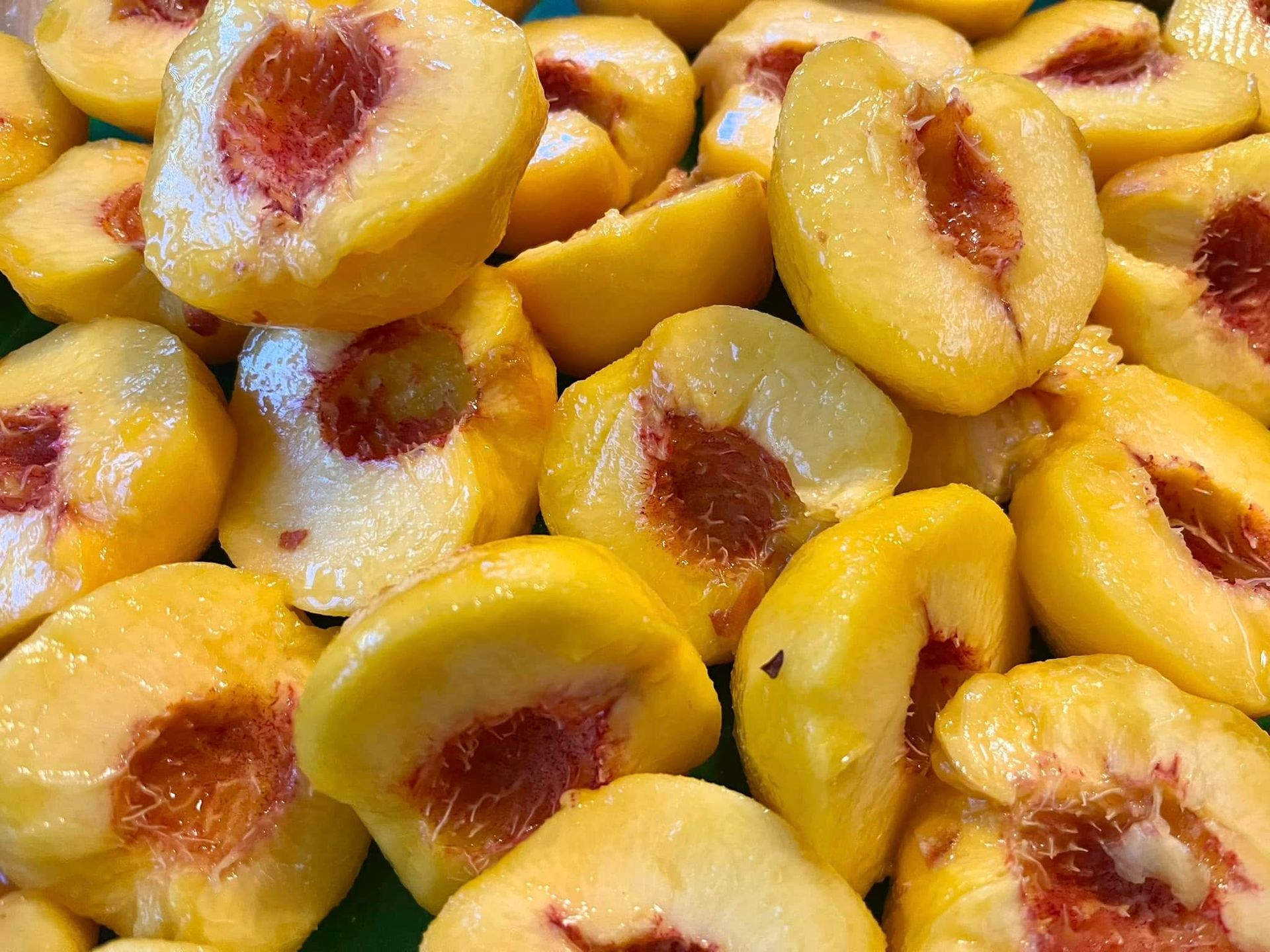 Halved peaches, yellow flesh, red center, close-up view. Base Camp Bakery Gunnison, Colorado https://share.google/AgqUzUKNzsb0ThlP5, https://www.facebook.com/BaseCampBakery1, https://www.instagram.com/basecampbakery_81230