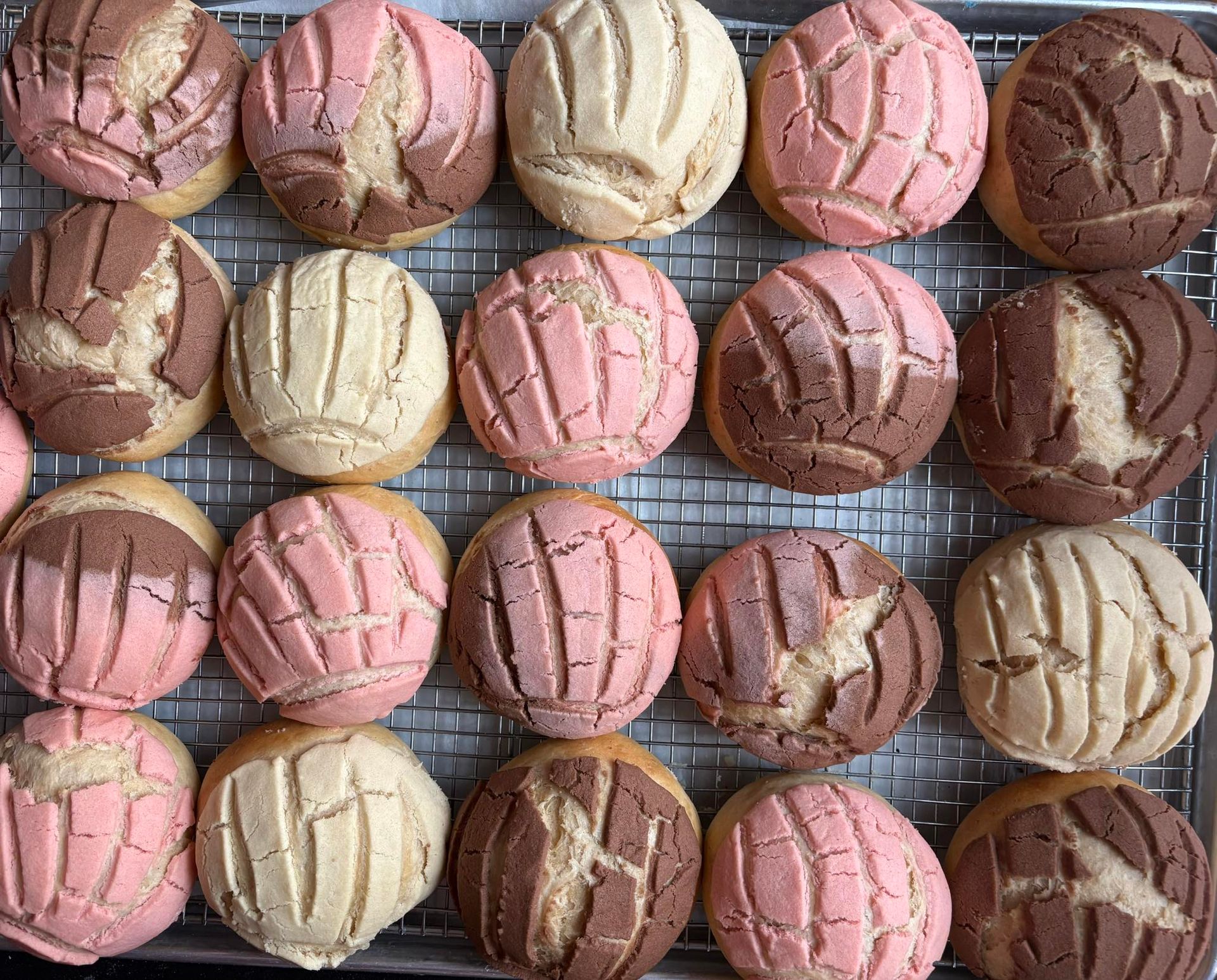 Assortment of concha pastries on a wire rack; various colors including pink, beige, and chocolate brown. Base Camp Bakery Gunnison, Colorado https://share.google/AgqUzUKNzsb0ThlP5, https://www.facebook.com/BaseCampBakery1, https://www.instagram.com/basecampbakery_81230