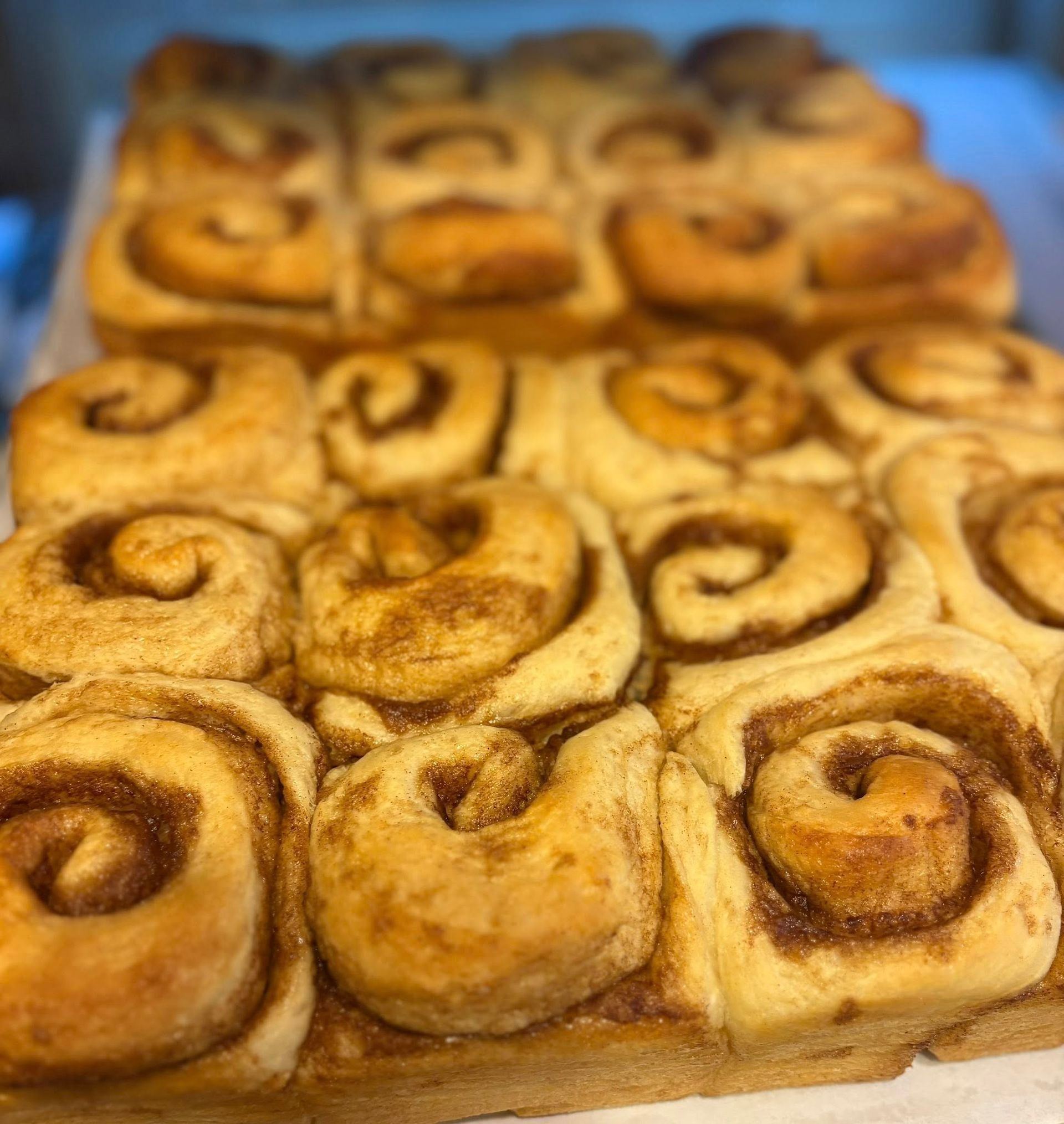 Rows of freshly baked cinnamon rolls, with swirls of cinnamon filling, golden brown, close-up. Base Camp Bakery Gunnison, Colorado https://share.google/AgqUzUKNzsb0ThlP5, https://www.facebook.com/BaseCampBakery1, https://www.instagram.com/basecampbakery_81230