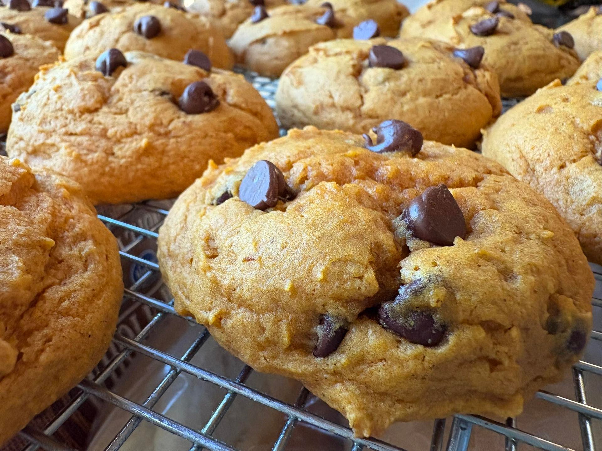 Pumpkin chocolate chip cookies on a wire rack, golden brown with dark chocolate chips. Base Camp Bakery Gunnison, Colorado https://share.google/AgqUzUKNzsb0ThlP5, https://www.facebook.com/BaseCampBakery1, https://www.instagram.com/basecampbakery_81230