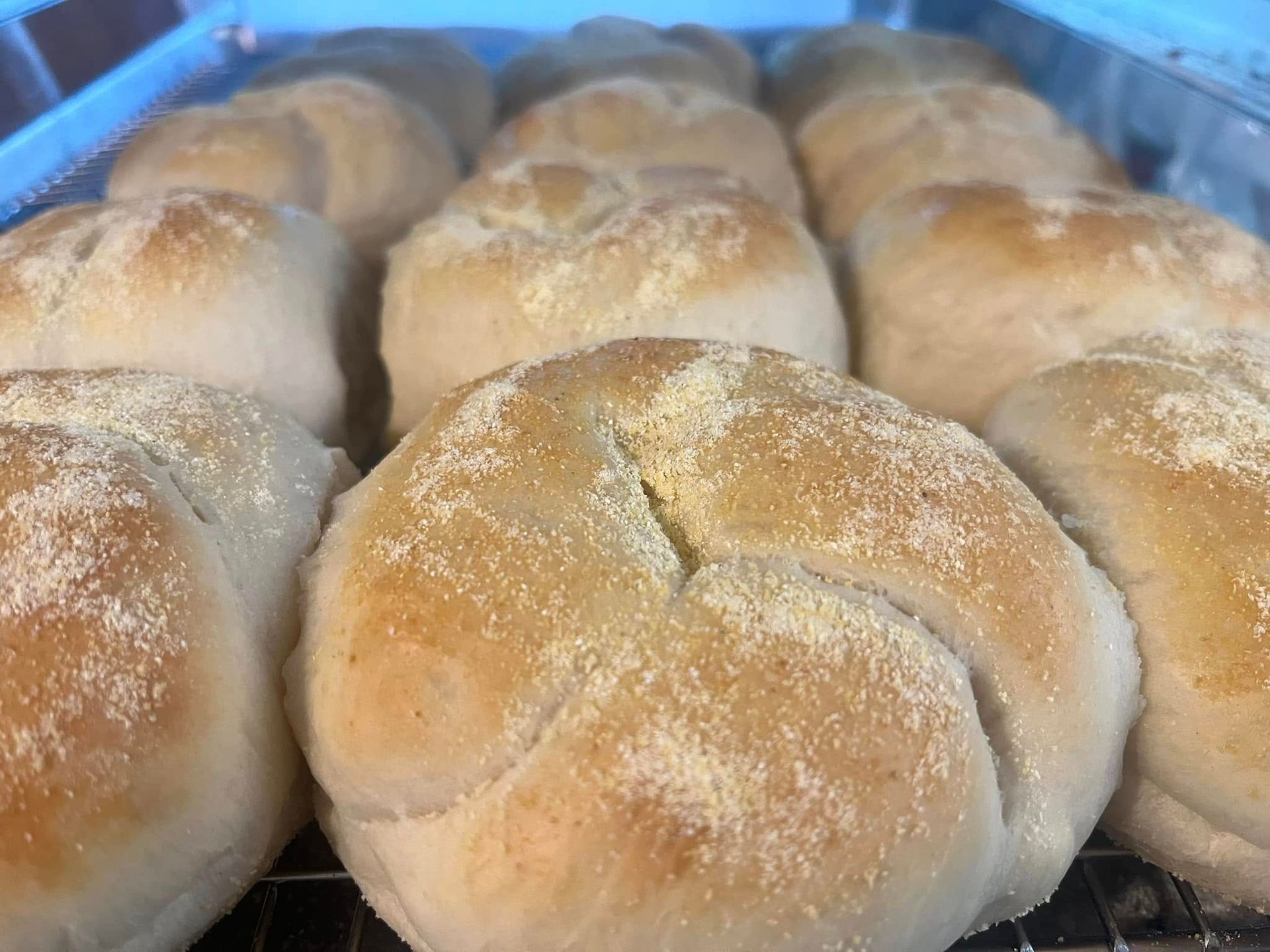 Close-up of a dozen golden-brown, crusty Kaiser rolls dusted with flour, arranged in rows on a tray. Base Camp Bakery Gunnison, Colorado https://share.google/AgqUzUKNzsb0ThlP5, https://www.facebook.com/BaseCampBakery1, https://www.instagram.com/basecampbakery_81230