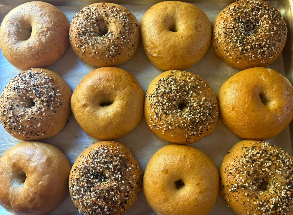 Twelve assorted bagels on a baking sheet; some plain, some seeded. Base Camp Bakery Gunnison, Colorado https://share.google/AgqUzUKNzsb0ThlP5, https://www.facebook.com/BaseCampBakery1, https://www.instagram.com/basecampbakery_81230