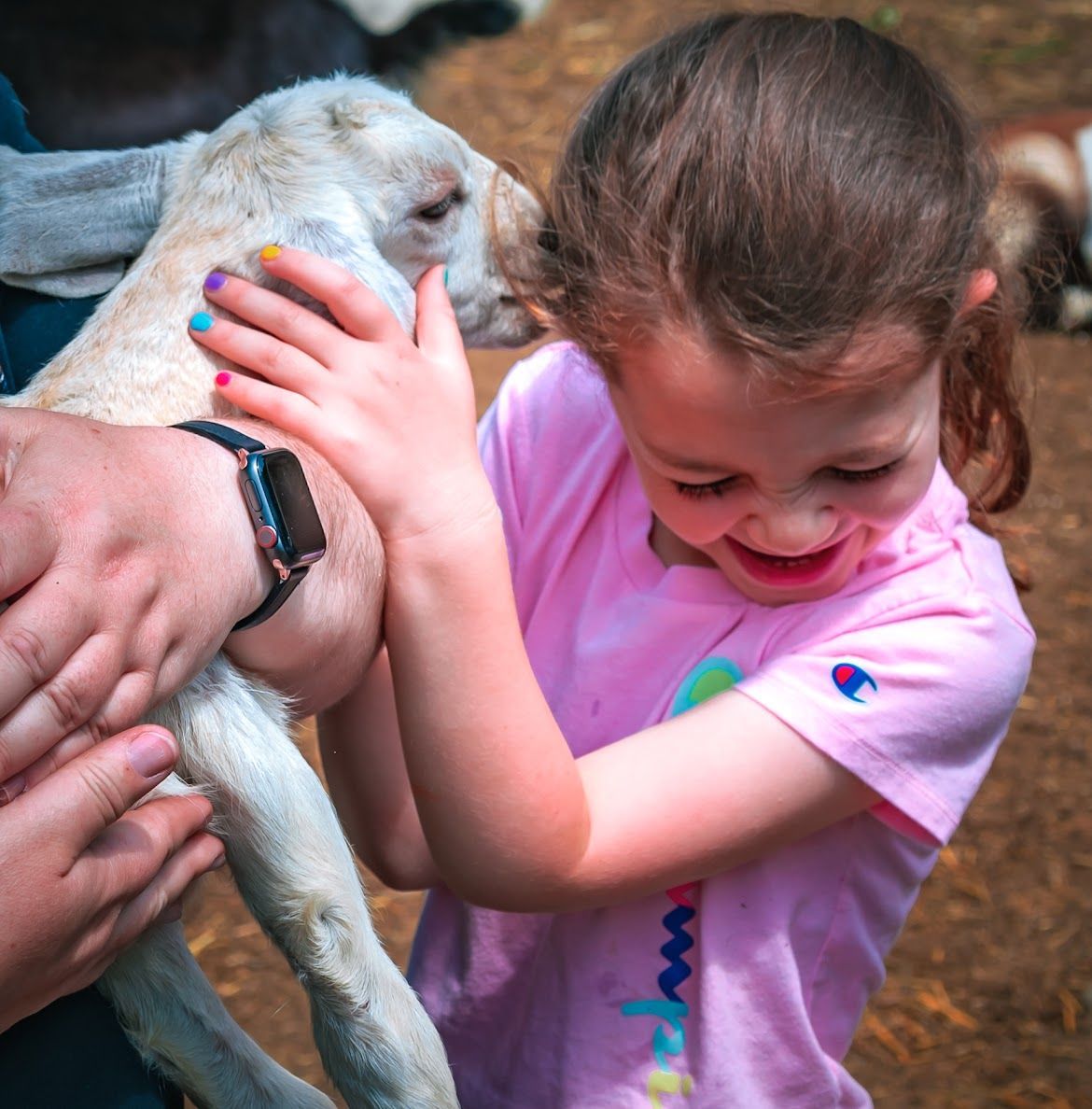 Girl smiles while holding a baby goat. Goat is held by another person. Girl wears pink shirt, colorful nails.