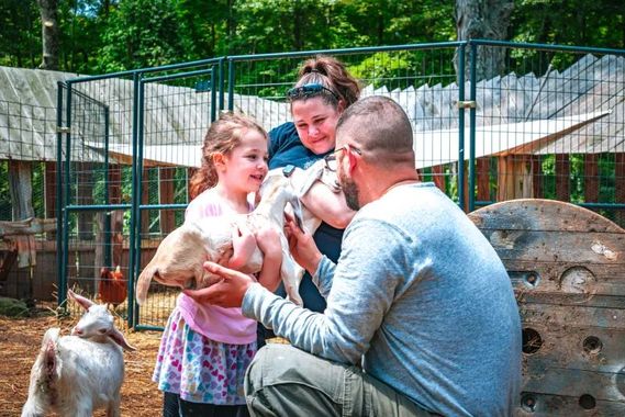 Family interacting with goats in an outdoor enclosure: girl smiles, man kneels, woman holds a goat.