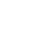 birdies logo