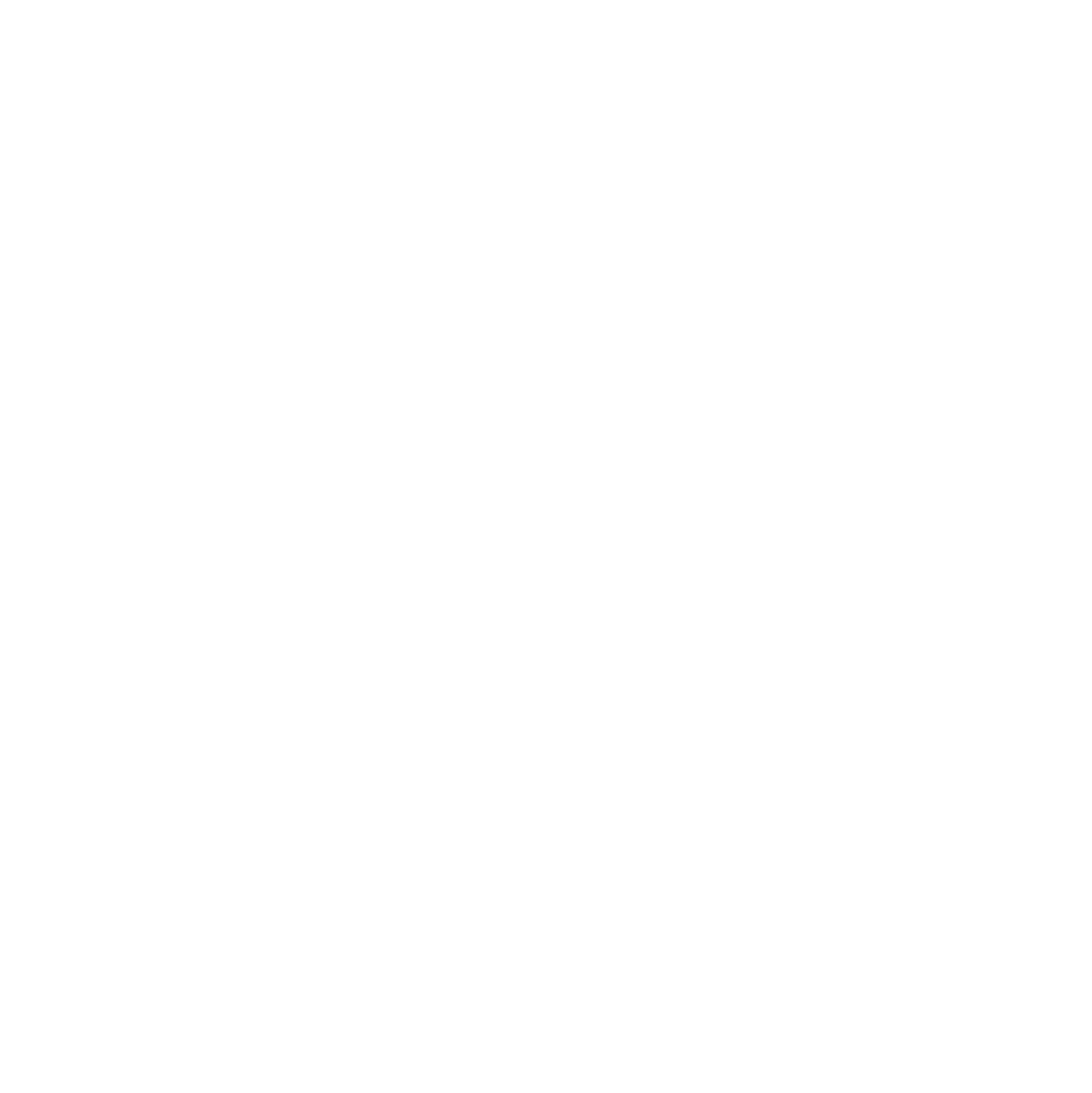 birdies logo