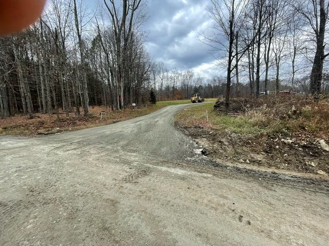 A Dirt Road Going Through a Forest With Trees