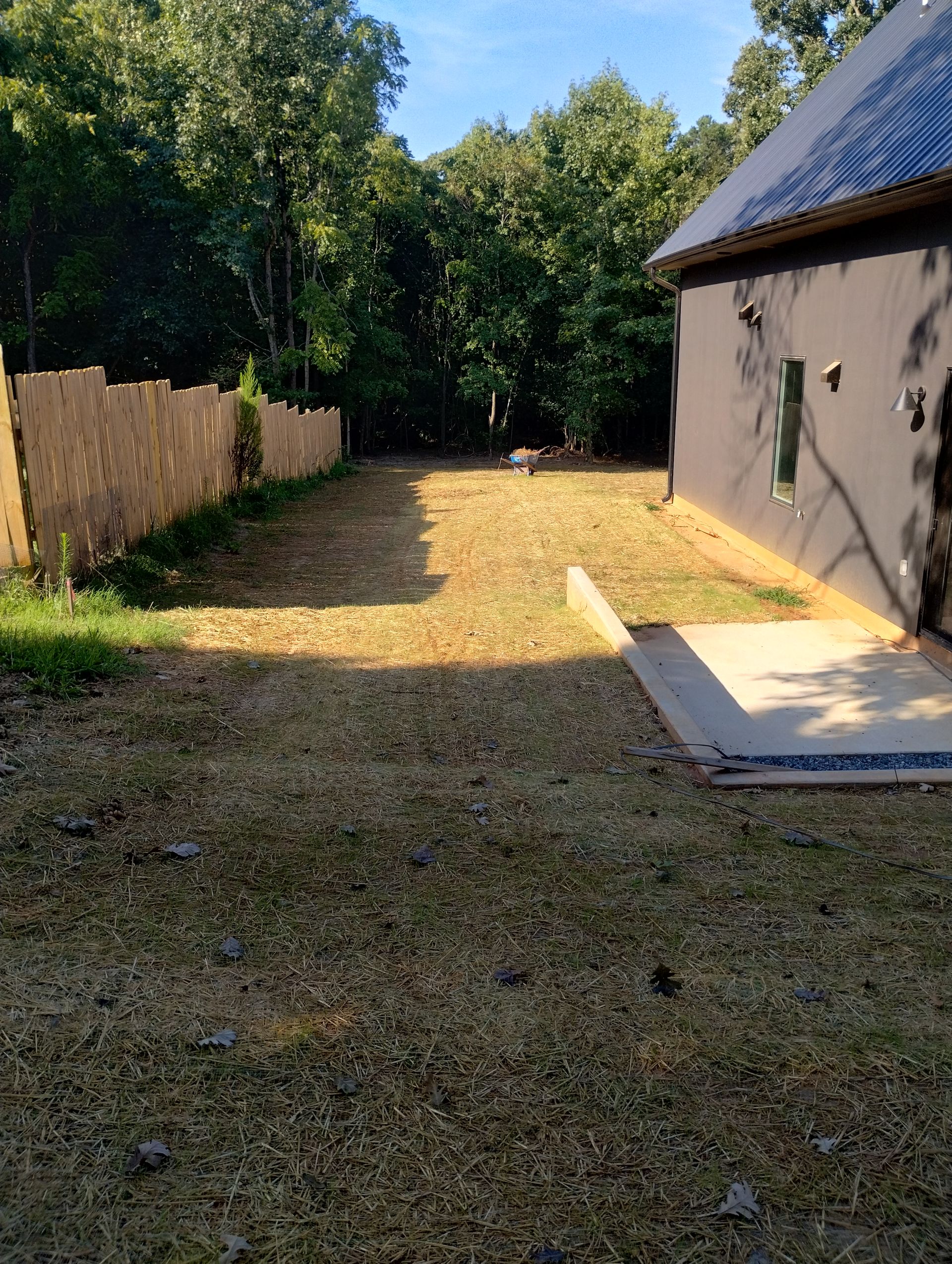 Gallery Image | Rose Tree Care LLC