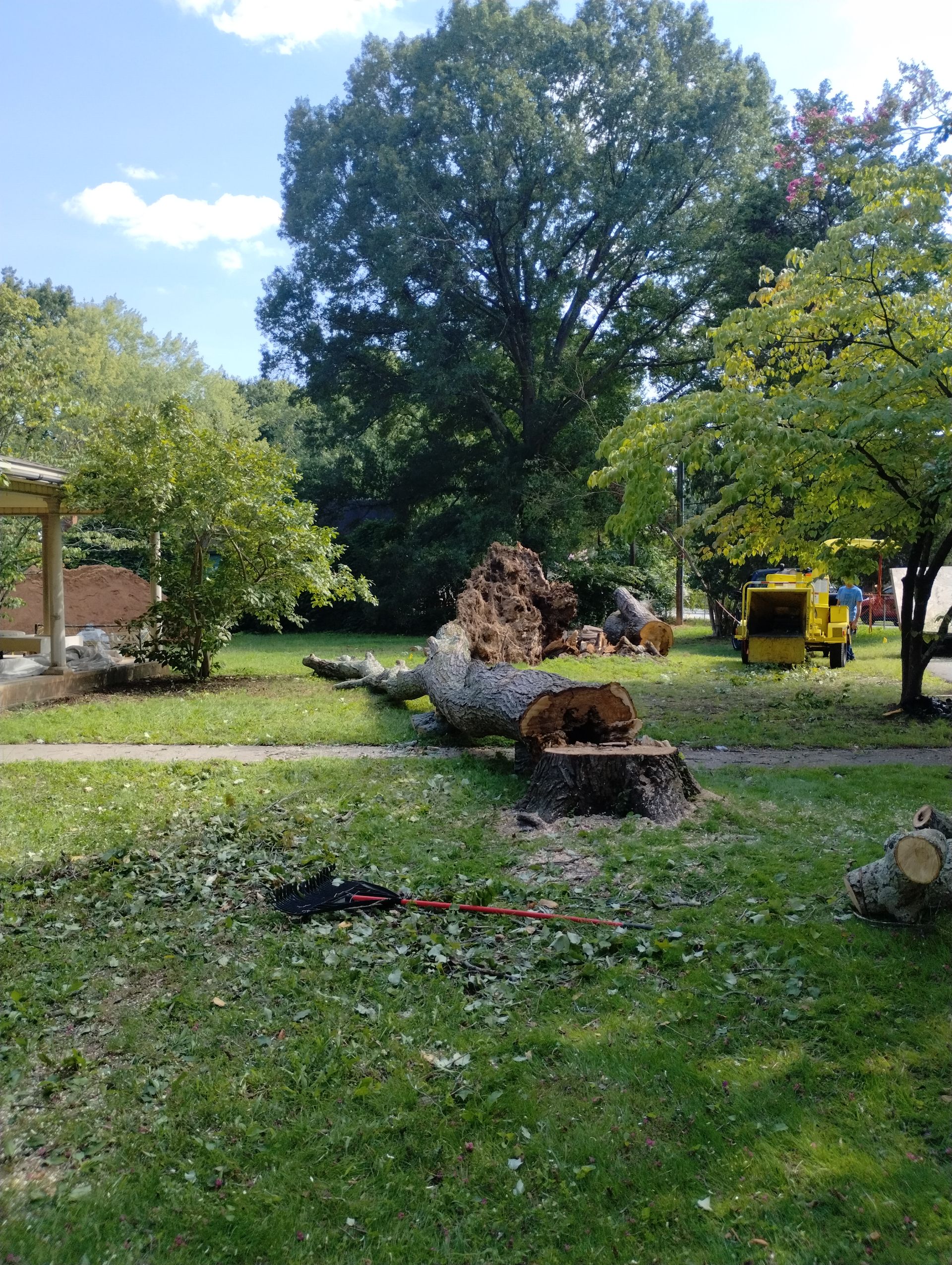 Gallery Image | Rose Tree Care LLC