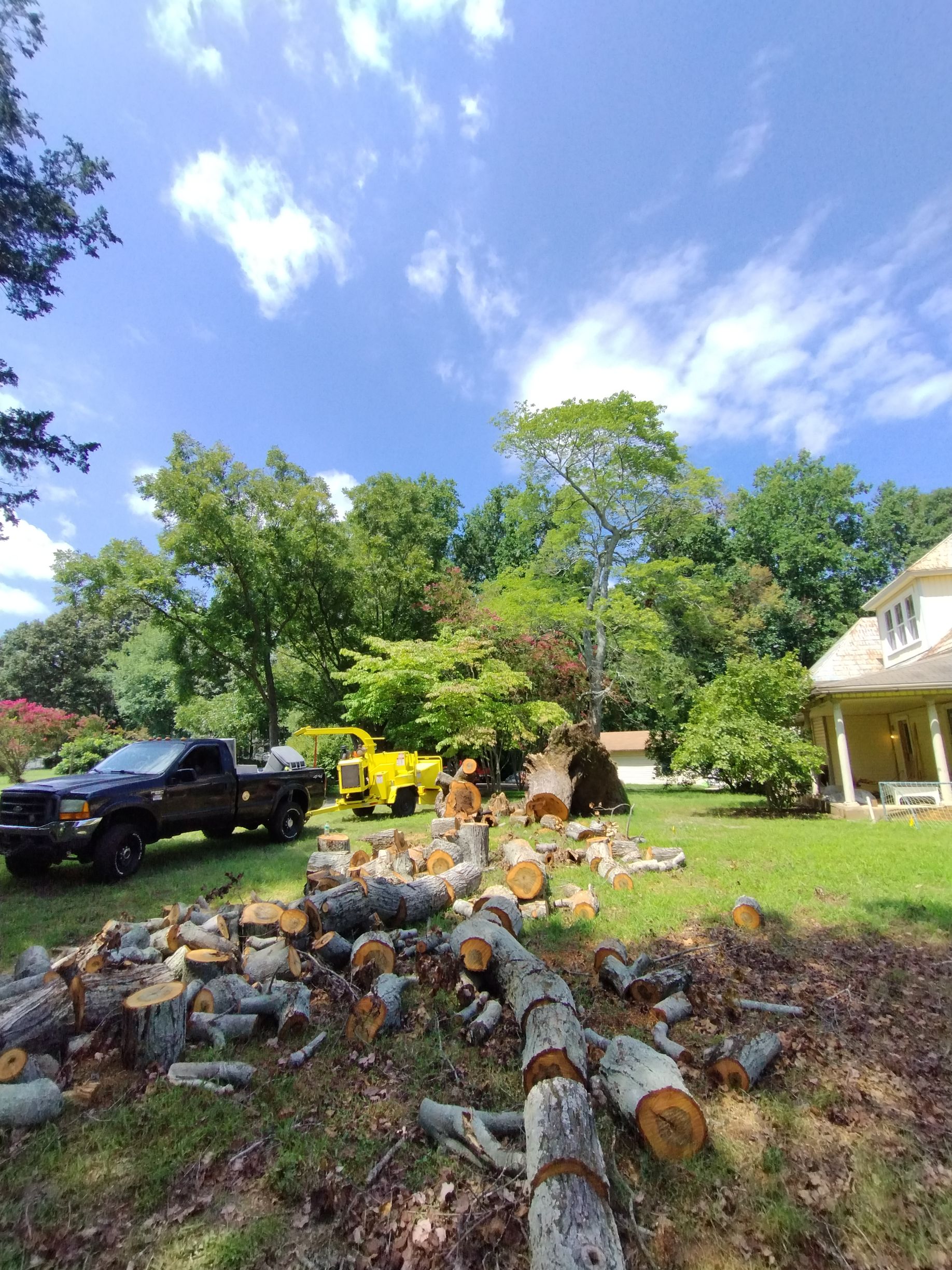 Gallery Image | Rose Tree Care LLC