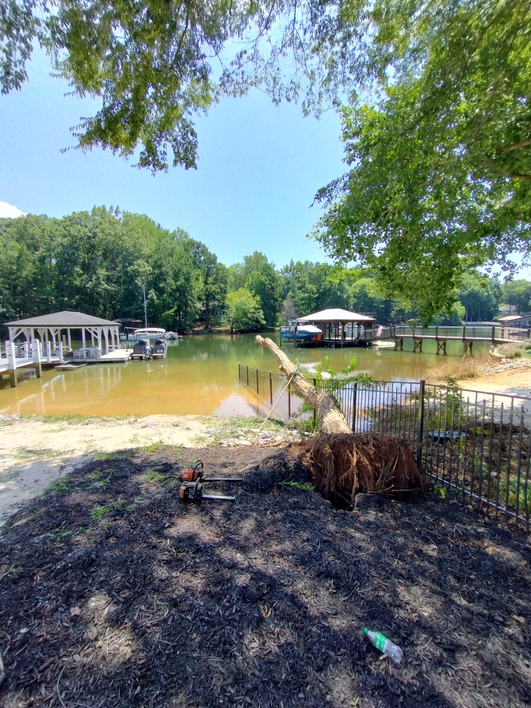 Gallery Image | Rose Tree Care LLC